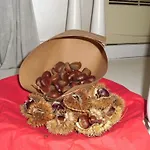 فندق Artemisia Palace 4*